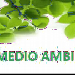 ACTIVIDADES MEDIO AMBIENTE EN BOECILLO Mayo y junio de 2018