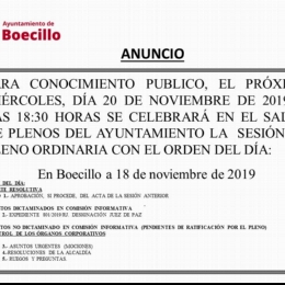 Pleno Ordinario Noviembre 2019