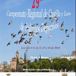 XXIX CAMPEONATO REGIONAL DE CASTILLA Y LEÓN DE PALOMOS DEPORTIVOS 2019