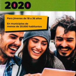 Ayudas para el Alquiler de la Vivienda Joven de la provincia de Valladolid 2020