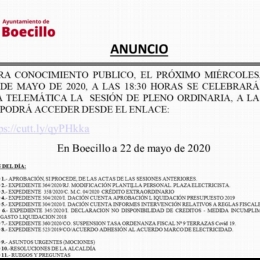 Pleno Ordinario Mayo 2020