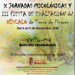X JORNADAS MICOLÓGICAS y  III FIESTA DE EXALTACIÓN del NÍSCALO de Tierra de Pinares
