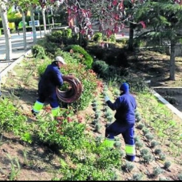 Un programa mixto permite a 16 jóvenes de Boecillo recuperar el parque El Tejar